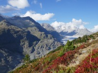 riederalp_hb_sommer_10